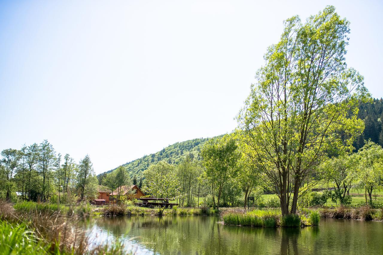 Sicasău 3A Guest House מראה חיצוני תמונה