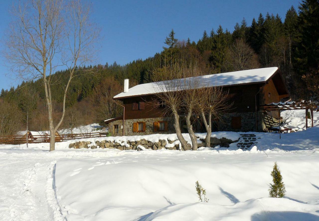 Sicasău 3A Guest House מראה חיצוני תמונה
